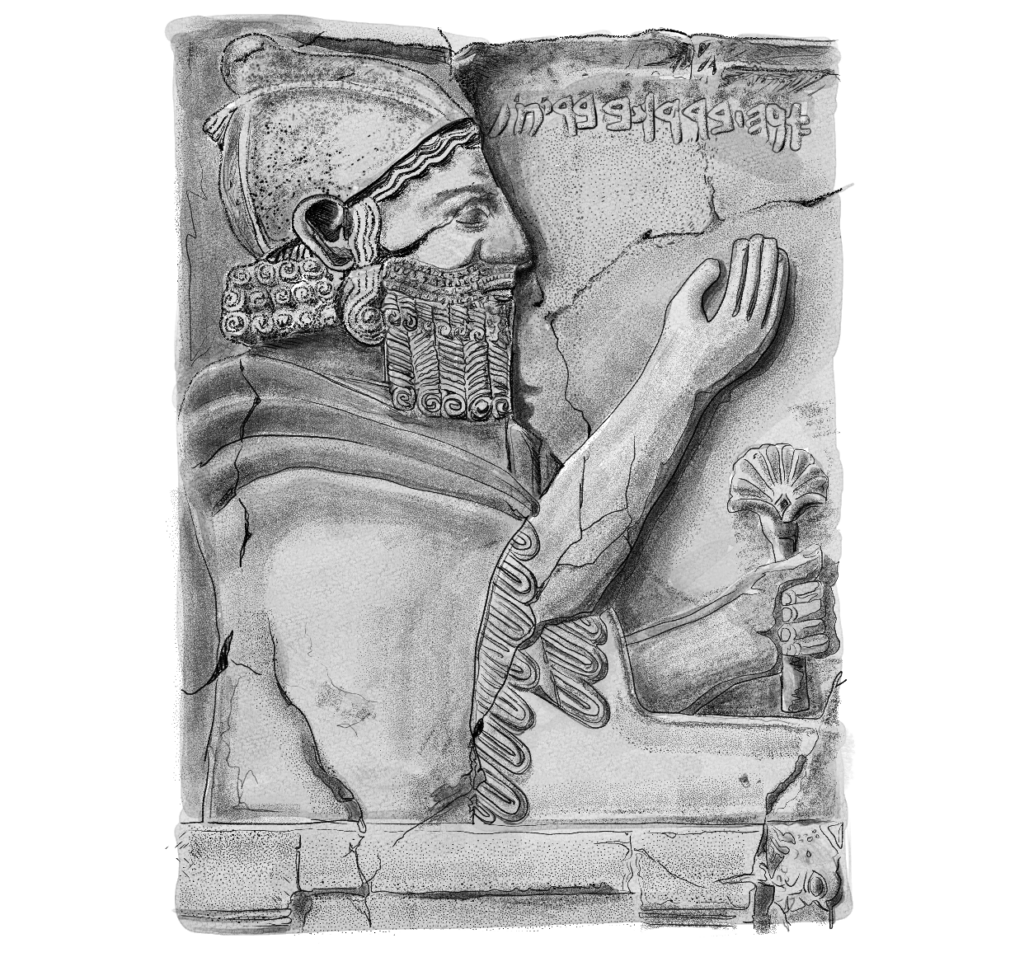 Präsentationsdesign und Fundzeichnungen für Forscher.